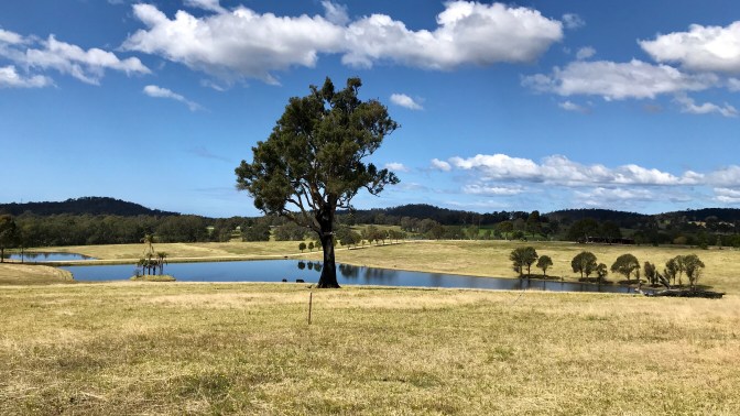 Bega Valley, Dairy Country 