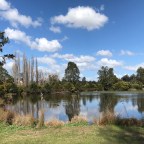 Slowing Down in Bega