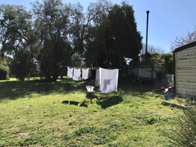 Our Aussie Backyard (Yes, that is Mike's Ethiopian Gabi on the line)