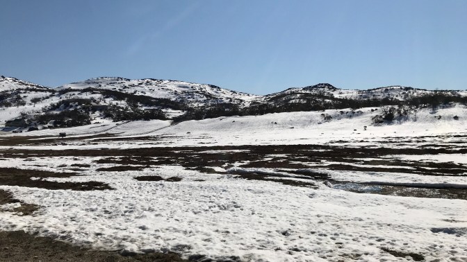 Perisher Snow Fields