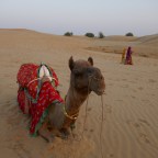 Thar Dessert; a mausoleum, a ghost town and a camel called Gerald