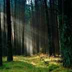 Taming the Email Tiger