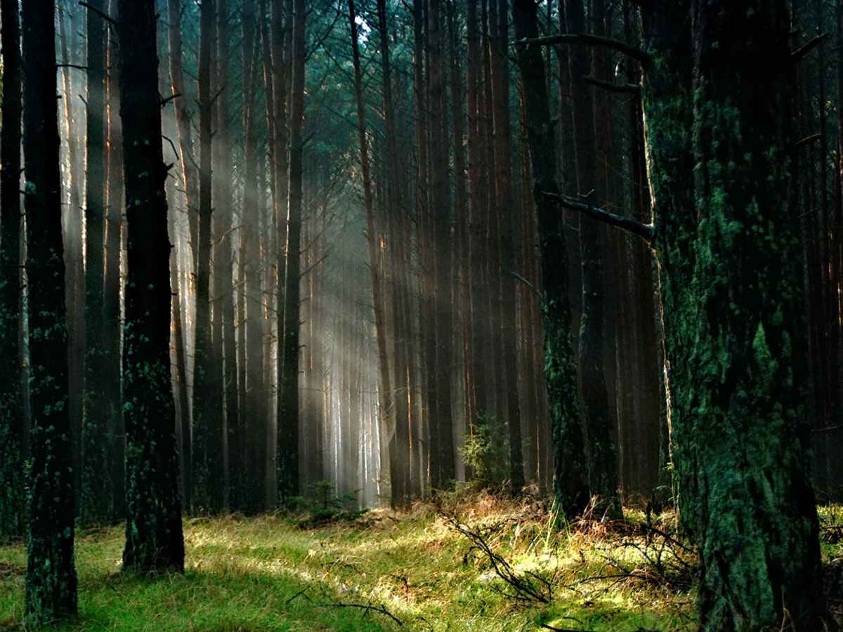 Taming the Email Tiger